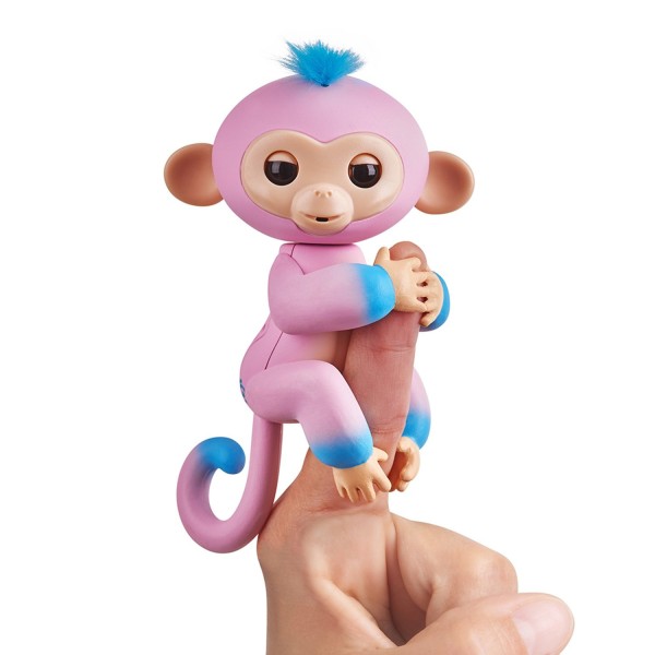 Baby Monkey Candi