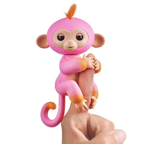Baby Monkey Summer