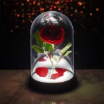 Disney - Beauty and The Beast: Enchanted Rose Light
